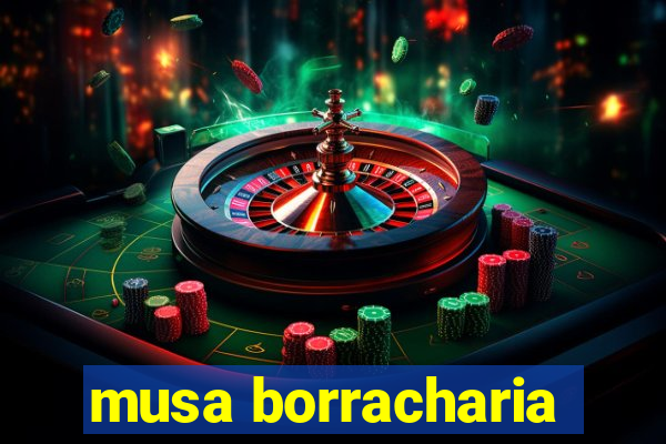 musa borracharia